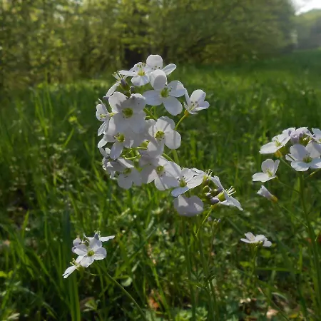 Maultierhof Reichenbach * Lichtenau